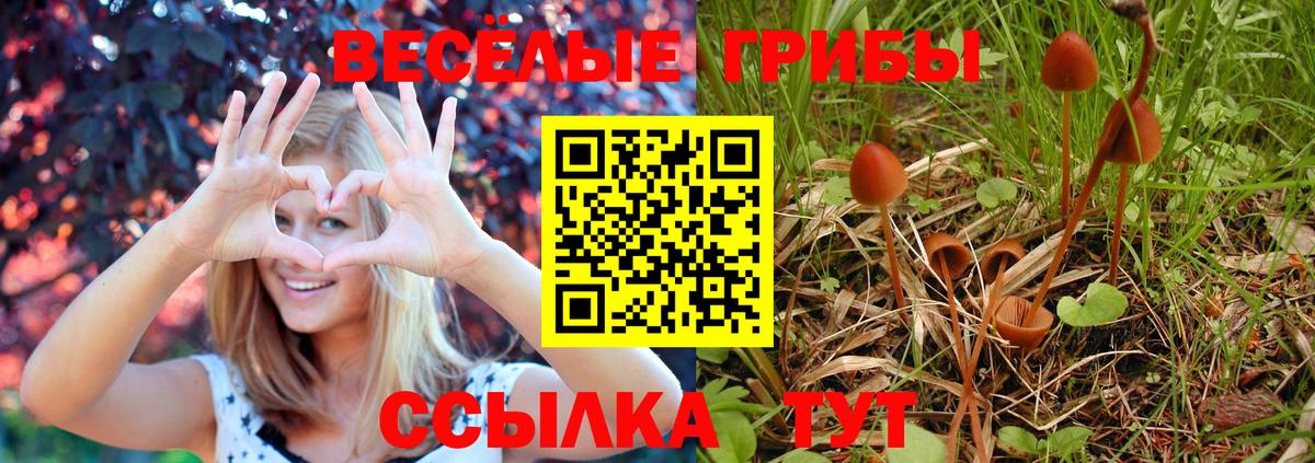 Галлюциногенные грибы Magic Shrooms Бугуруслан